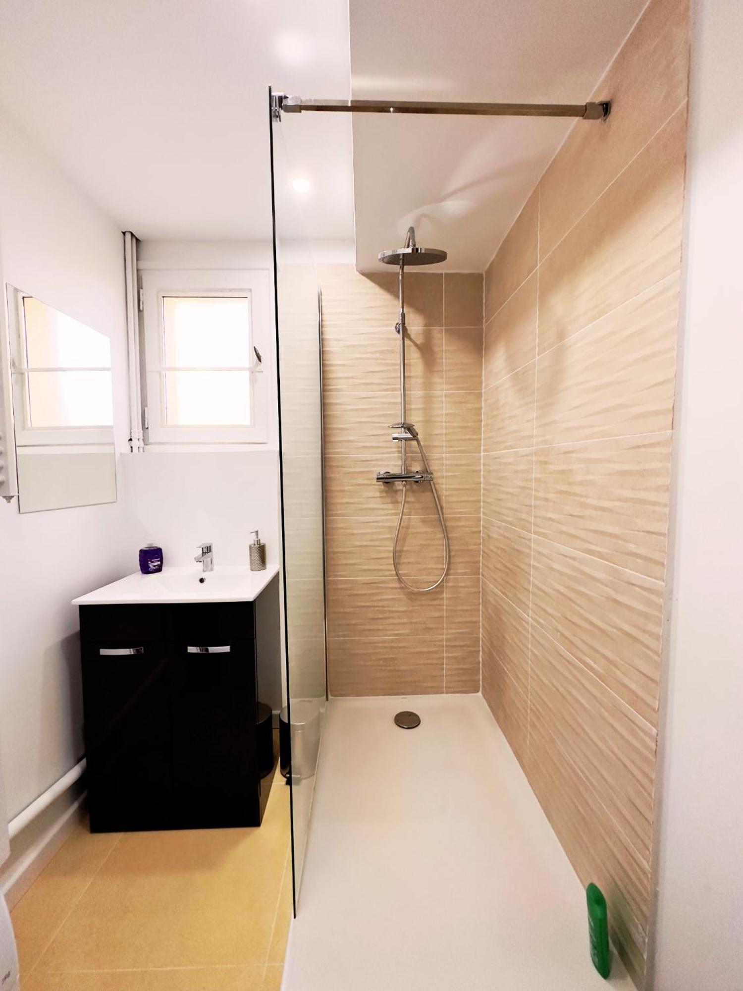 Apartment T5 Centre Villeurbanne